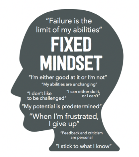 Fixed Mindset:

"Failure is the limit of my abilities"

"I'm either good at it or I'm not" 

"My abilities are unchanging"

"I don't like to be challenged"

"I can either do it or I can't"

"My potential is predetermined"

"When I'm frustrated, I give up"